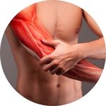 Pregnancy and Lactation Nutrition