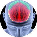 Cognitive Impairments